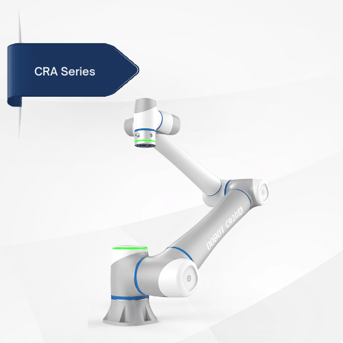 CRA Series and Palletizing Solutions