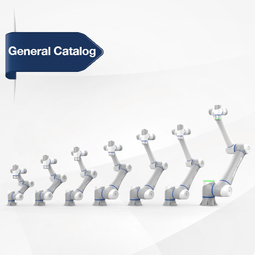 CRA Series and Palletizing Solutions